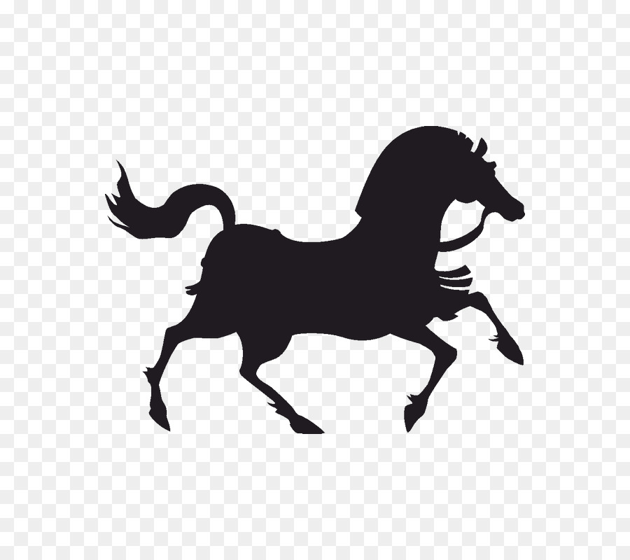 Véc tơ đồ họa Ngựa Vẽ hình Ảnh minh Họa - Con ngựa