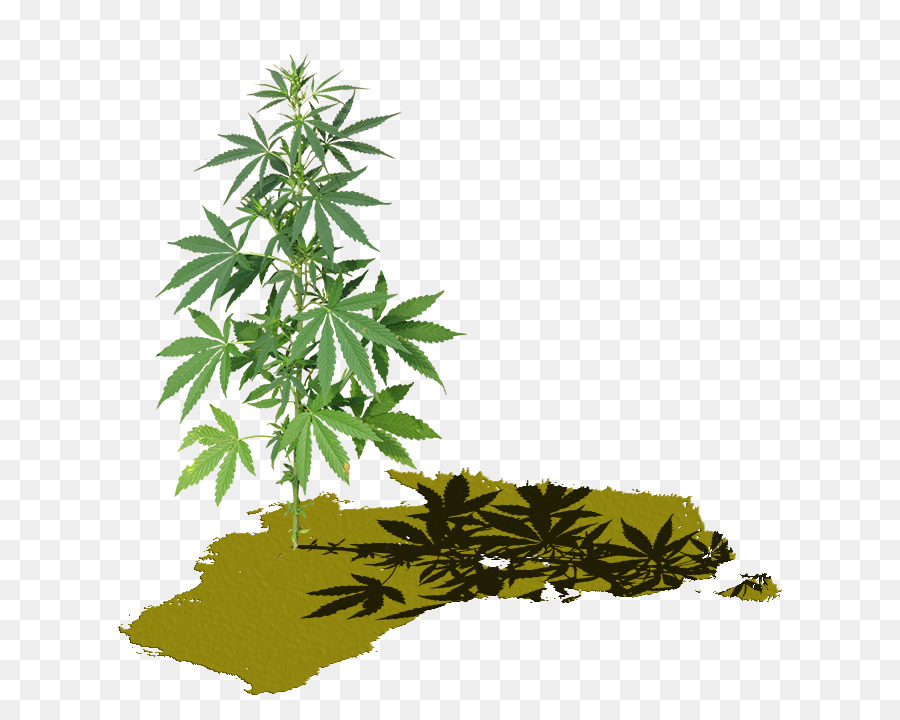 Cannabis Screenshot Malerei-Grafik-0 - Cannabis