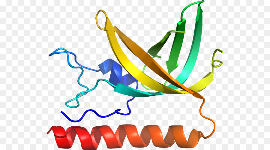 Clip nghệ thuật Dòng sản Phẩm sinh Vật Olympics Đặc biệt khu Vực M - protein tổng hợp