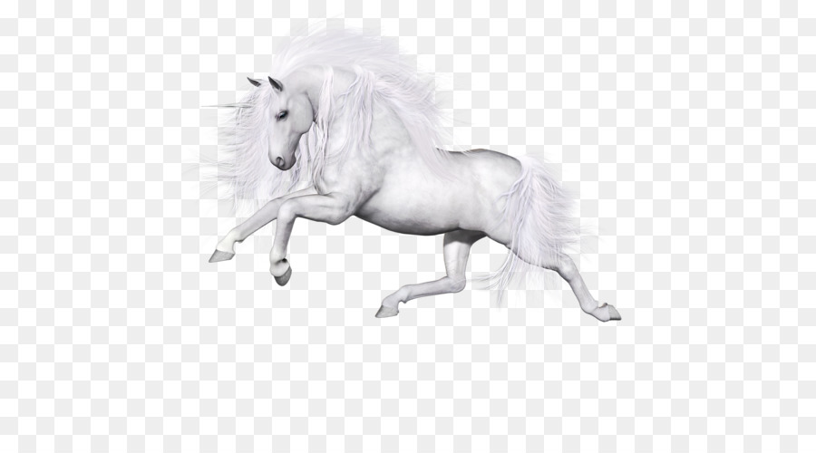 Cavallo Unicorno Portable Network Graphics Immagine Di Pegasus - cavallo