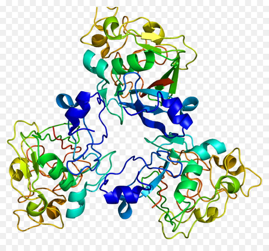 FCN3 Umana della Proteina del Gene Ficolin - 