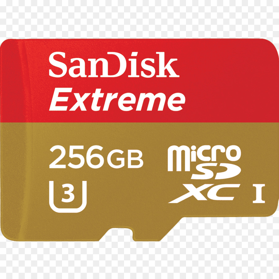 Schede di Memoria Flash SanDisk Extreme microSD UHS I Secure Digital - 