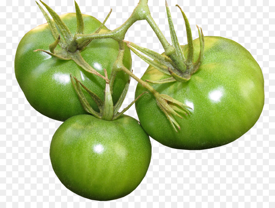 Pomodoro, cibo Biologico Tomatillo cucina Vegetariana - 