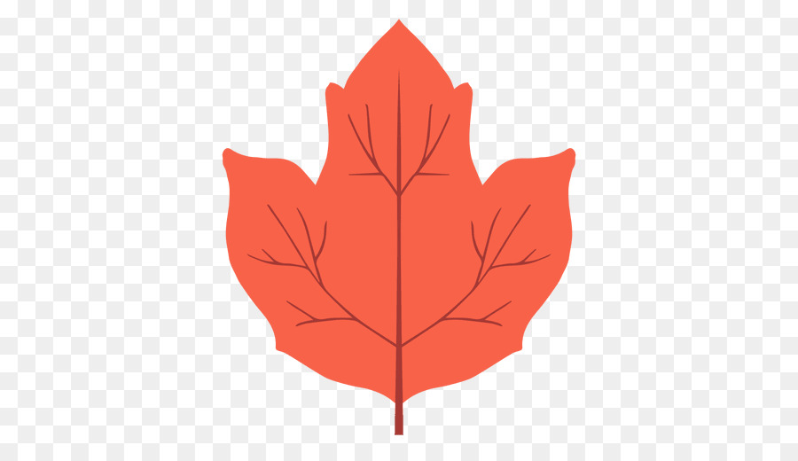Maple leaf Rot-Ahorn Blatt Herbst - Blatt