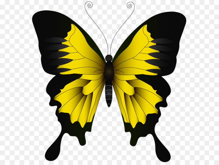 Clip-art-Portable-Network-Graphics-Ulysses-Schmetterling Abbildung Pinsel-footed butterflies - Schmetterling rot und schwarz