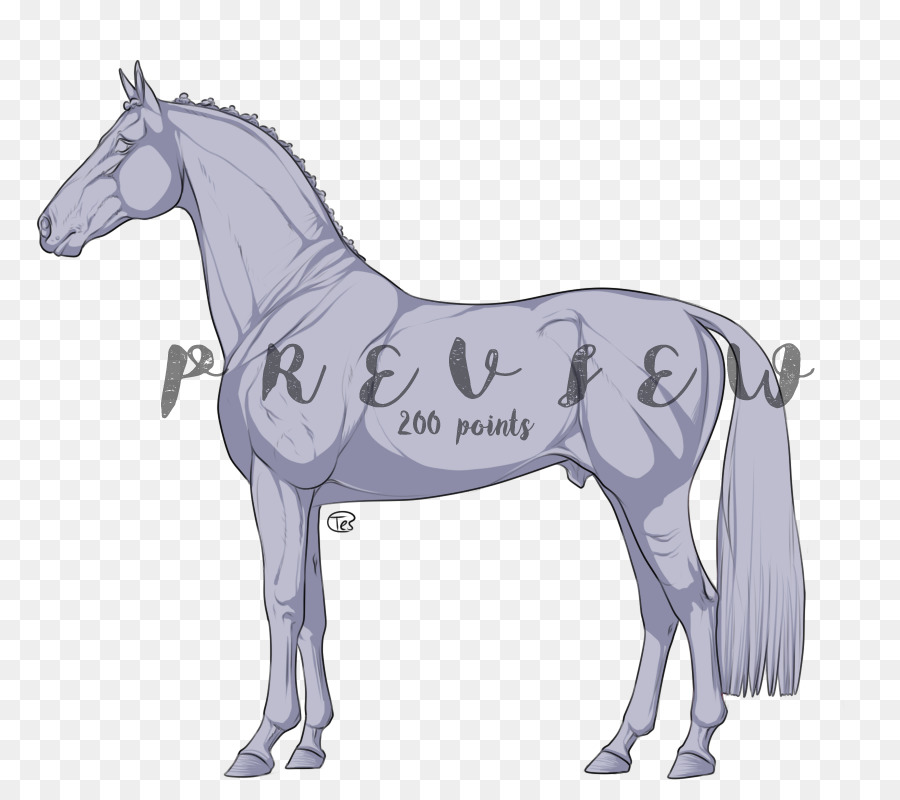Mulo Pony Mare Art Stallone - mustang