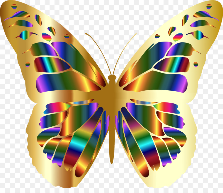 Monarca, farfalla, Insetto Bordi e Cornici Glasswing farfalla Asclepiade farfalle - insetto