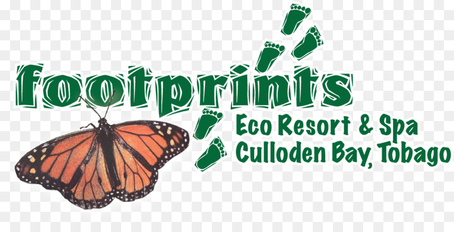 Monarchfalter Footprints Eco Resort & Spa Schmetterlingsfedern - Gepardenpfote Öko-Lodge