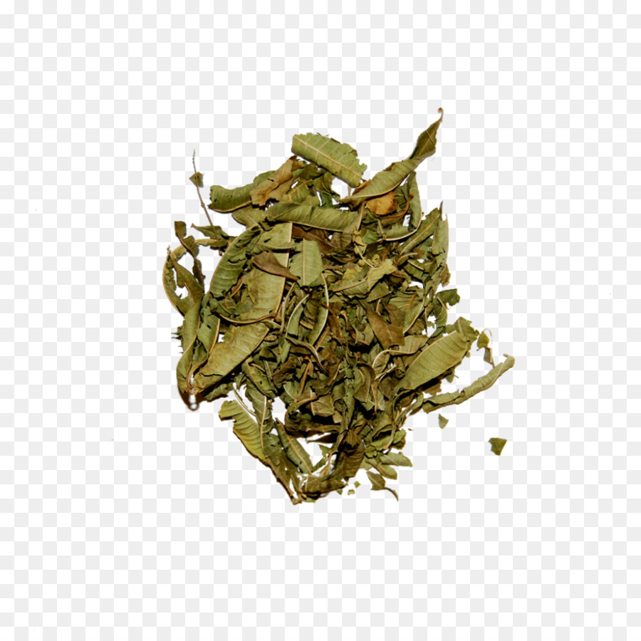 Nilgiri Tee Oolong Bancha Kraut - Tee