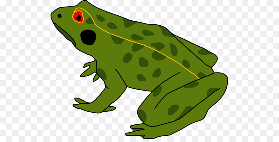 Ếch Lưỡng cư nòng Nọc Mía cóc cơ thể con Người - ếch xanh ếch