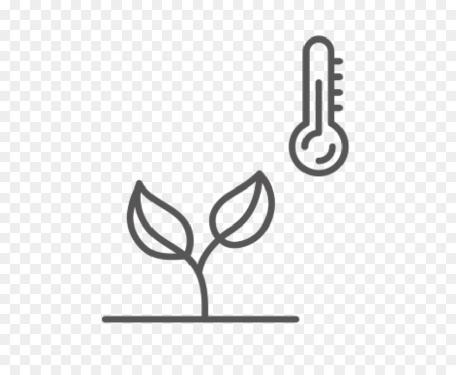 Pflanzen Samen-Obst-Baum-Design-Logo - Prunus Dulcis