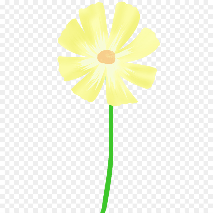 Daisy famiglia Tagliare fiori staminali Vegetali Comune daisy - 