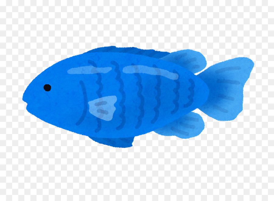 Blue devil Whitetail dascyllus Tropische Fische Abudefduf sordidus - Fisch
