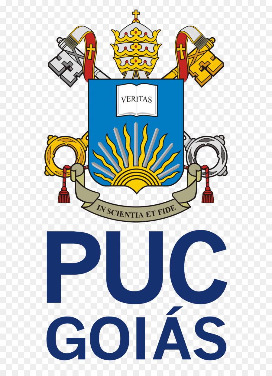 Pontifical Catholic University Of Rio De Janeiro Text