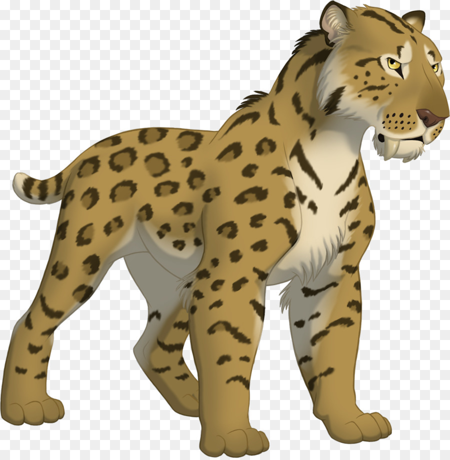 Báo Cheetah răng kiếm hổ - con báo