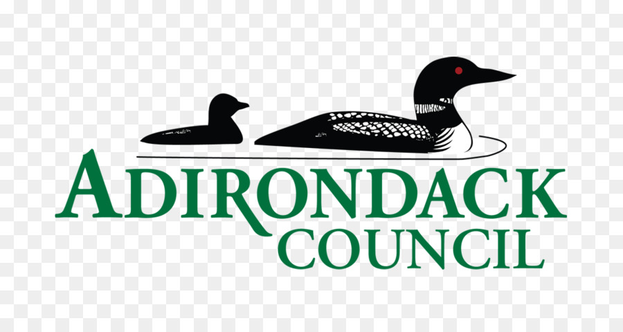 Anatra Adirondack Consiglio Logo Brand Pubblicitario - anatra