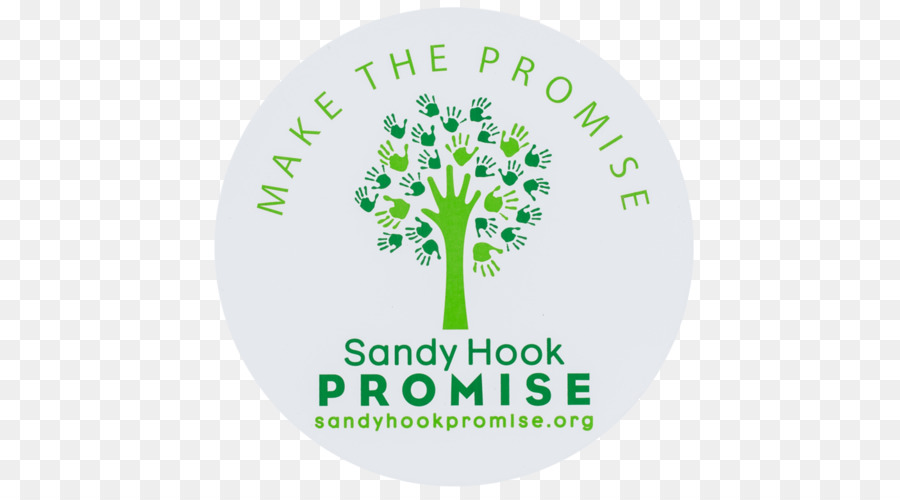 Newtown Sandy Hook Elementary School di ripresa Sandy Hook Promessa - 