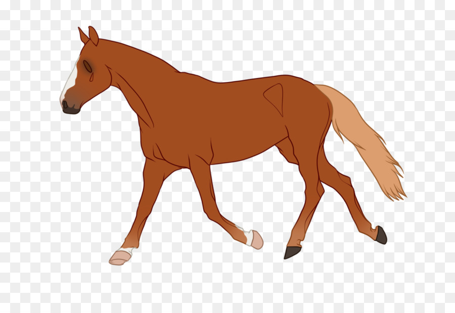 Pferd Pony Vektorgrafiken, Stock-Fotografie-Illustration - Pferd