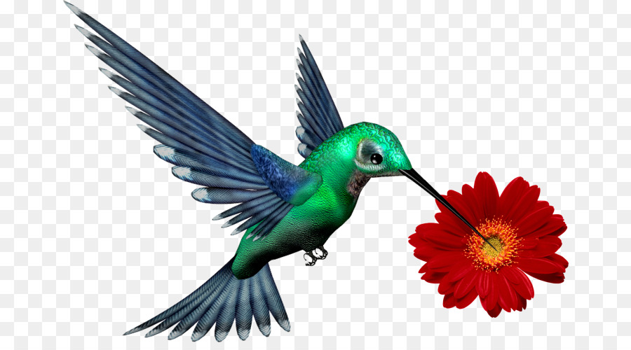 Scegliere di essere Felici di Design T-shirt Hummingbird Immagine - fiore dall'alto verso il basso