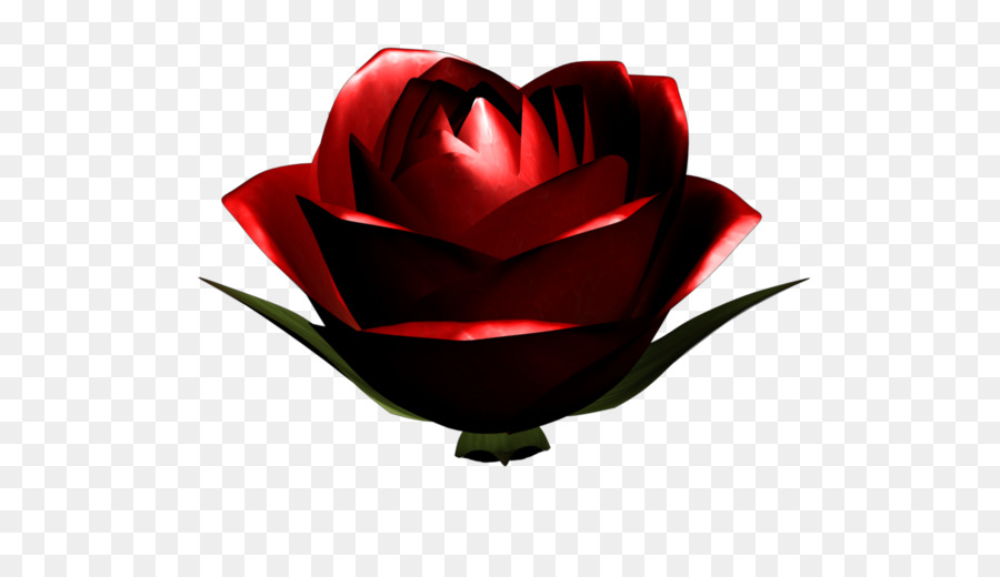 Hoa hồng trong vườn Đoạn phim Ảnh nét video đám Cưới - hd clip