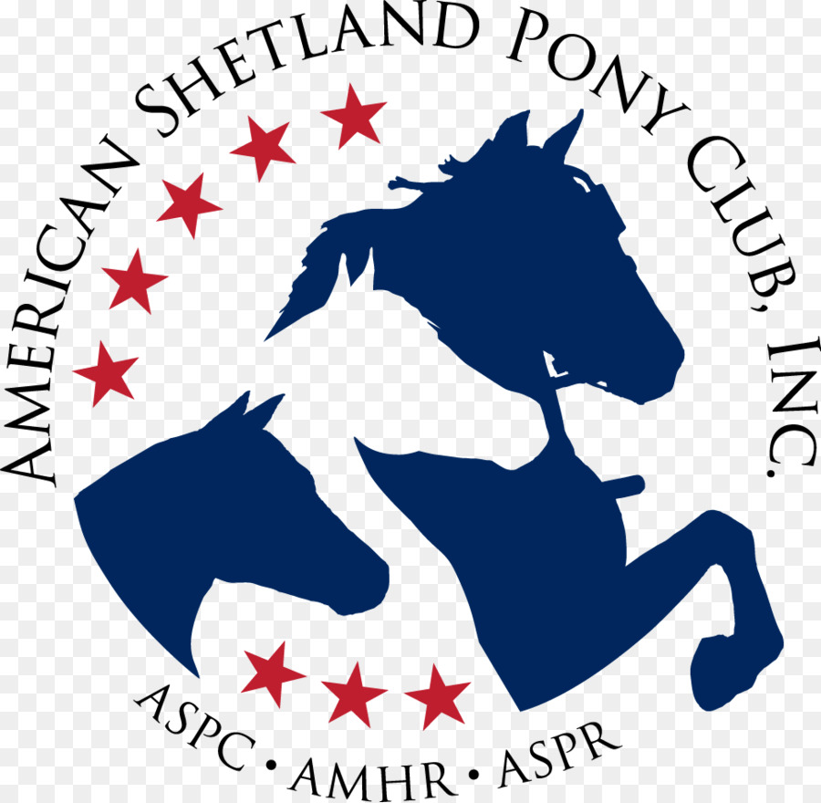 Amerikanisches Shetlandpony Amerikanisches Miniaturpferdepony der Amerikas - bunte Nachtclub Thema poster hintergrund