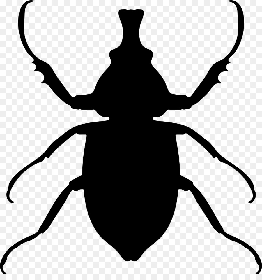 Tê giác con bọ châu Âu rhinoceros beetle Nhiếp ảnh đồ họa Véc tơ - bọ
