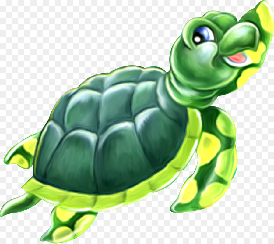 Green sea turtle Reptil Bild Zeichnung - Schildkröte