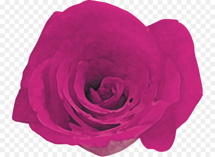 Le rose da giardino Cavolo Petalo di rosa fiori recisi - 