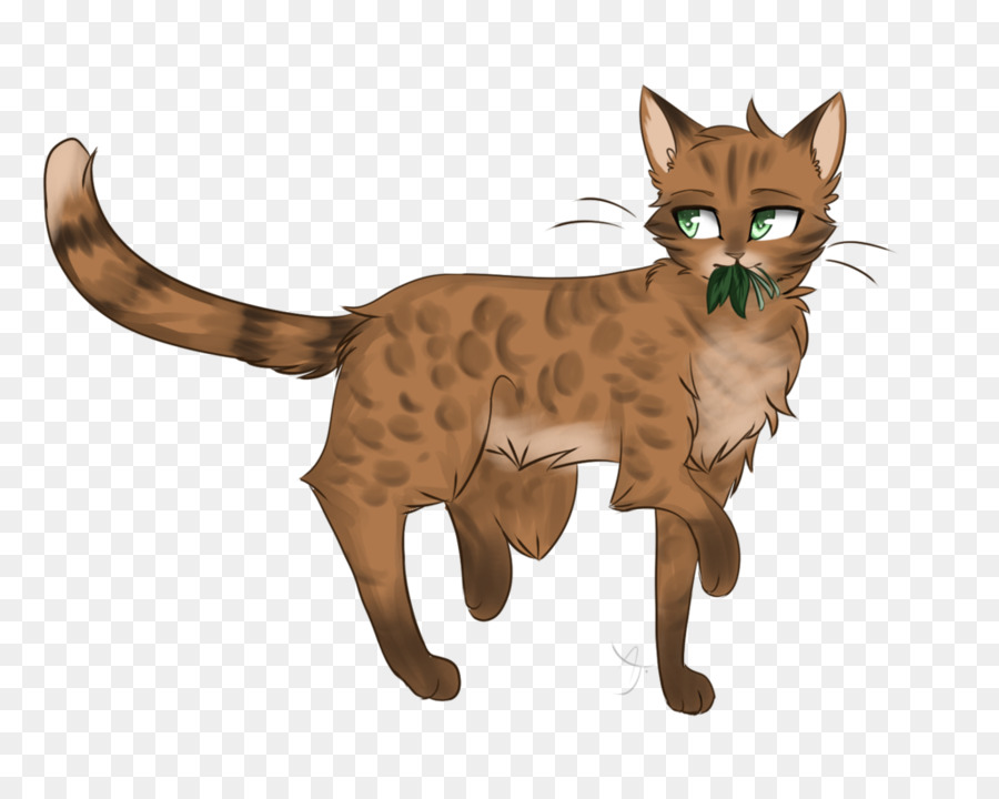 Schnurrhaare Inländischen Kurzhaar Katze, Tabby cat Wildcat - leopard paw Krieger