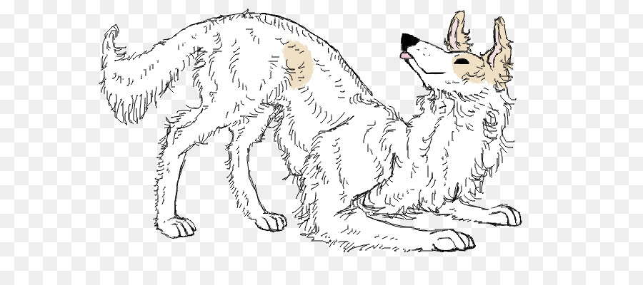 Schnurrhaare Hund der Rasse Red fox Katze - Hund