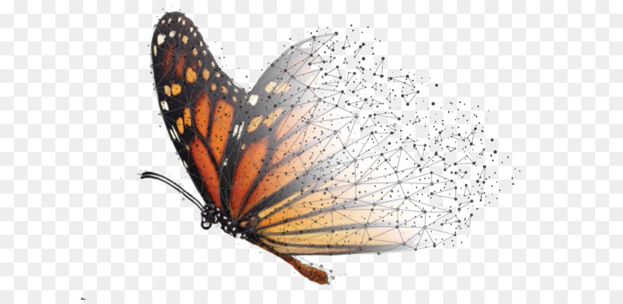 Farfalla monarca Riserva della Biosfera di fotografia Stock Image - farfalla
