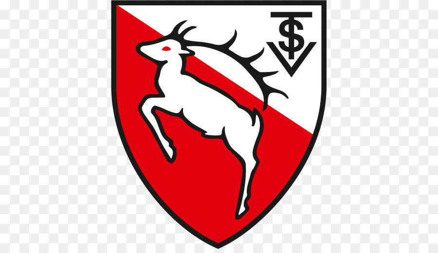 TSV Kirchrode von 1922 e.V. Sports Association TSV Bemerode Fortuna Sachsenross Hannover Tus Ricklingen - 
