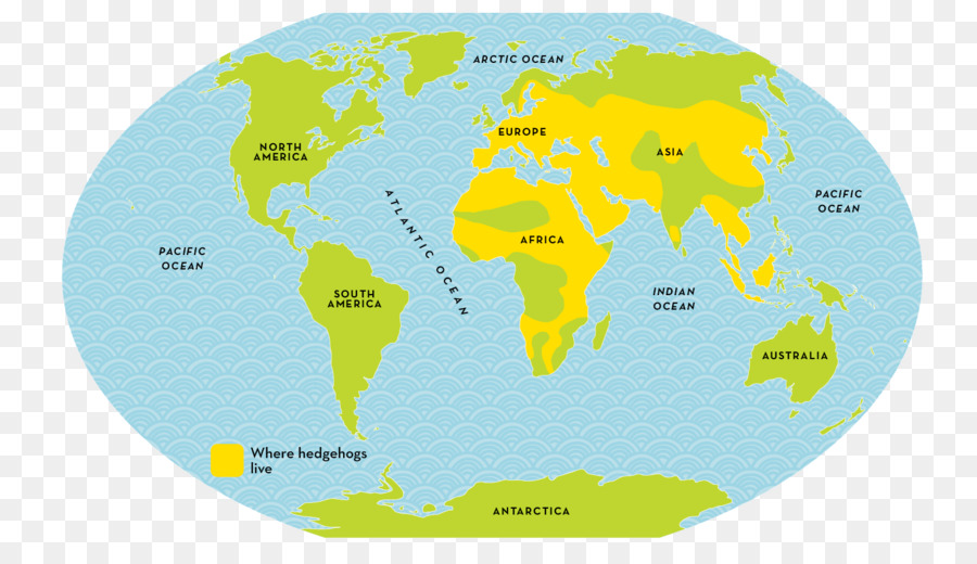 Globus Karte Wasserressourcen Organismus - Globus