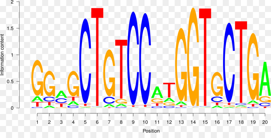 Transcription factor DNA-binding site Sequence motif - 