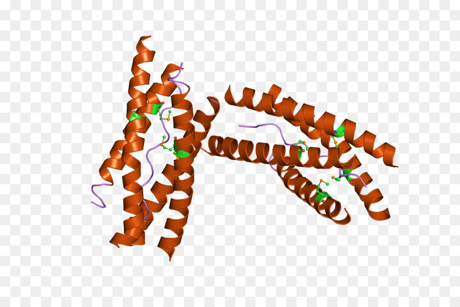 Neurotransmitter Acetylcholinesterase-Enzym - 