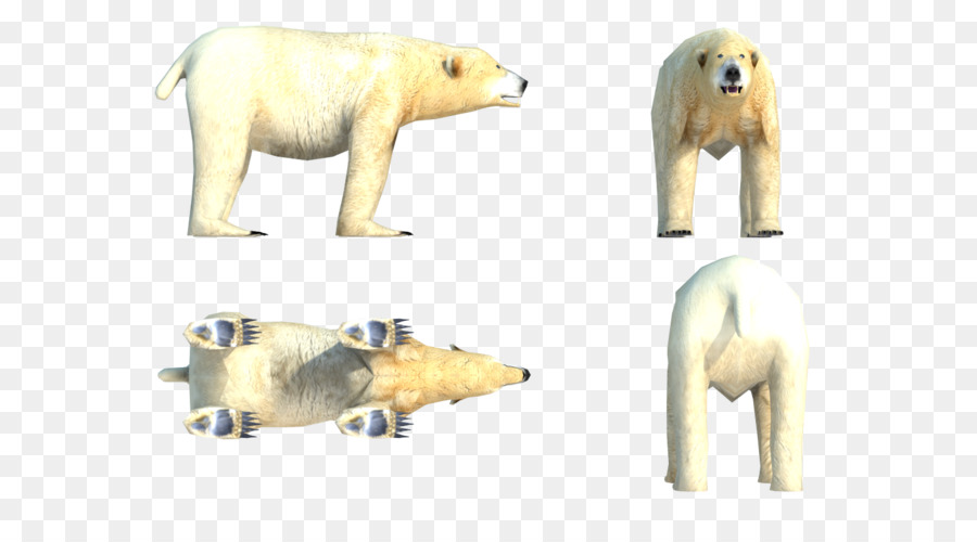 Eisbär, Fauna Terrestrische Tier-Schnauze - Eisbär