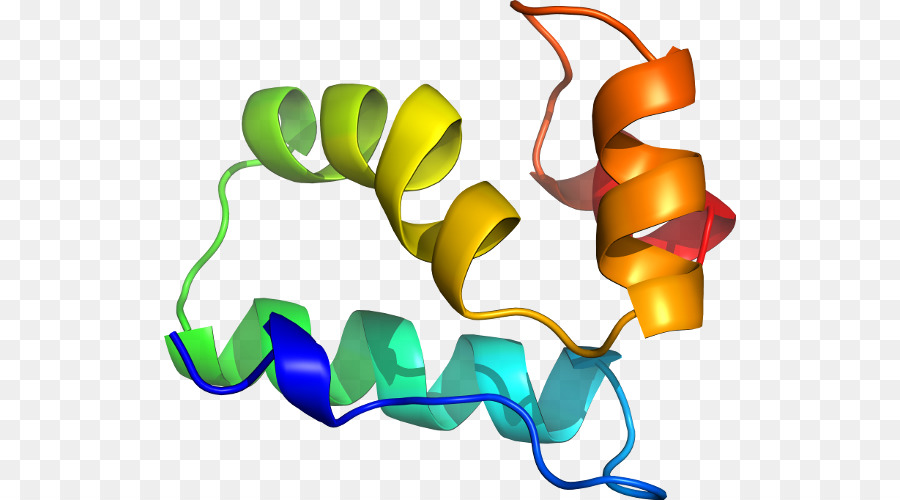 Clip-art Produkt-design-Grafik-design-Blatt - P24 capsid protein