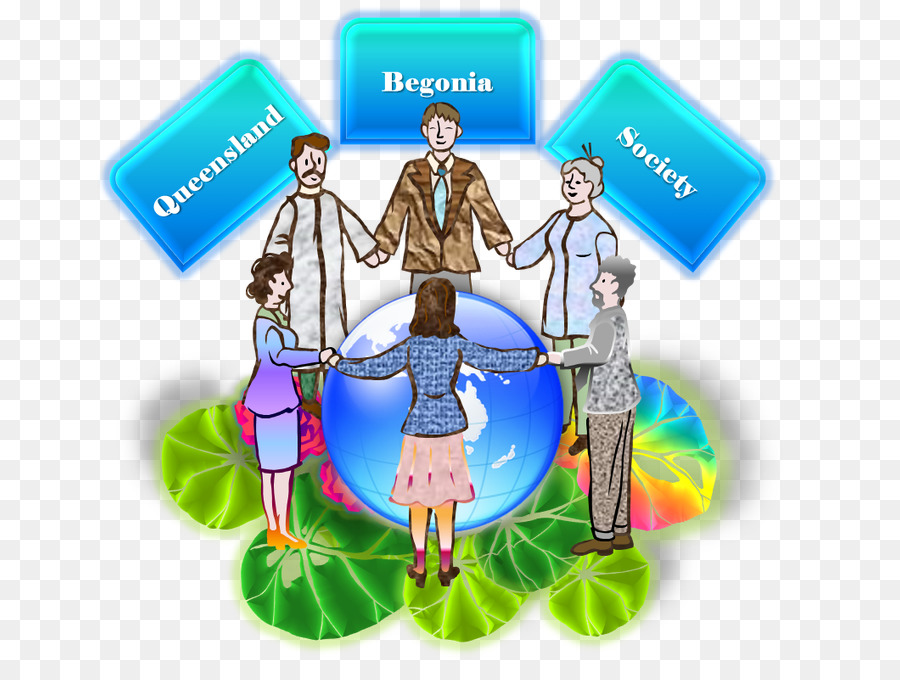 Queensland Informationsgesellschaft Menschlichen Organismus Verhalten - Amerikanische Begonia Society