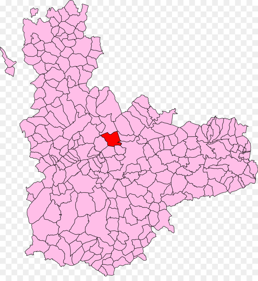 Adalia, Valladolid, San Pelayo, Valladolid Carpio, Valladolid, Rueda, Valladolid - 