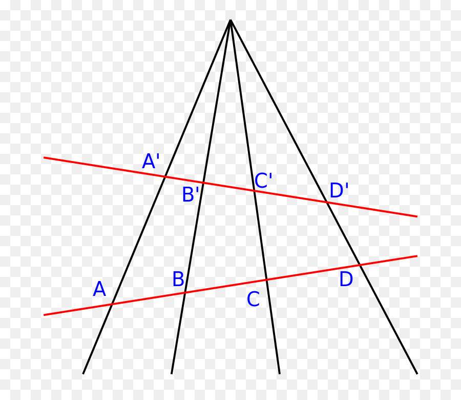 La geometria proiettiva Omografia Croce rapporto di piano Proiettivo - linea