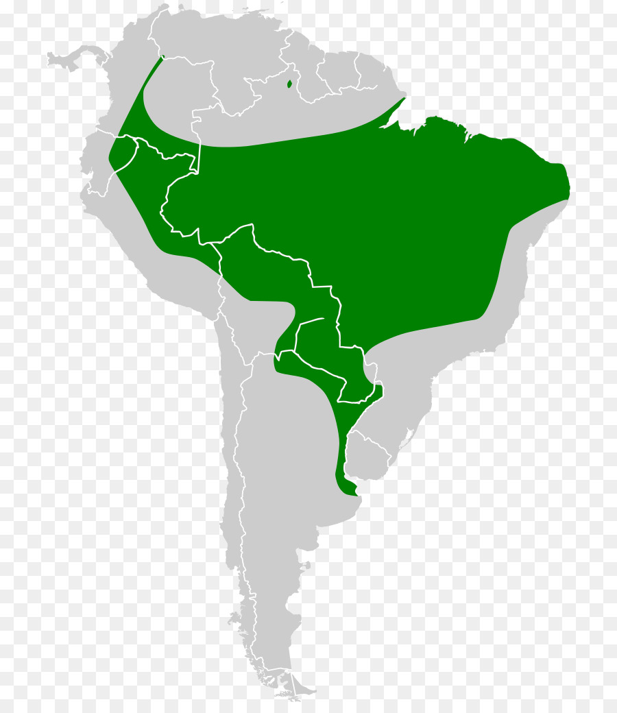 Sud America Stati Uniti d'America Portable Network Graphics Mappa del Mondo - mappa