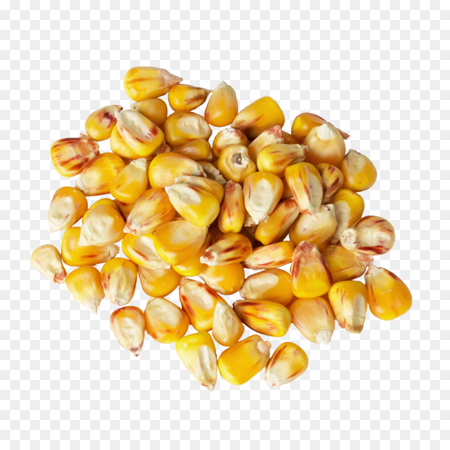 Corn kernel Vegetarische Küche, Wein, Maisstärke - mais
