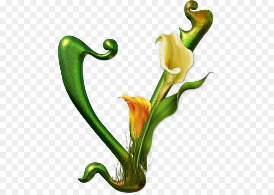 Buchstabe V Alphabet Desktop-Hintergrund M - wilde Blumen