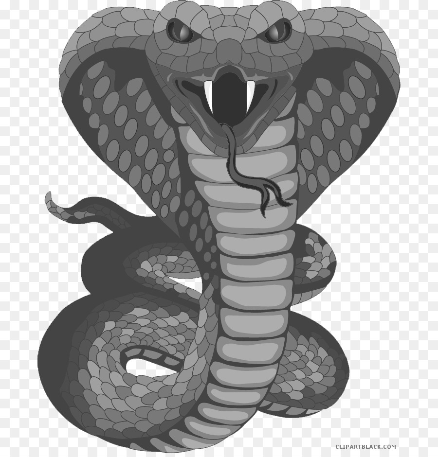 Blackandgray, Sticker, Ophidia, Serpent, Snake, Scaled Reptile, Viper, Blac...
