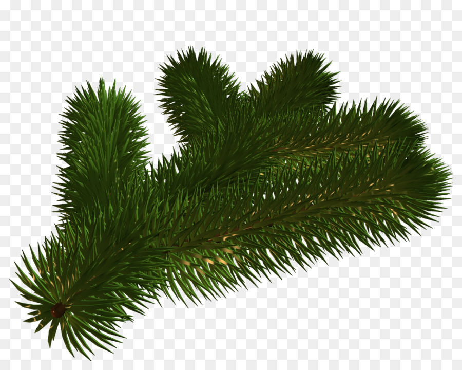 Fichte Tanne Weihnachten Weihnachtsmotive-Weihnachtsbaum - Weihnachtsbaum