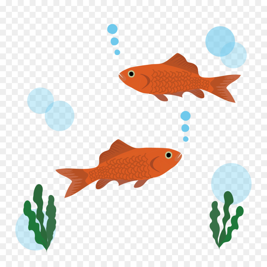Goldfish Illustrazione Ecosistema Akwarium kulowe - 