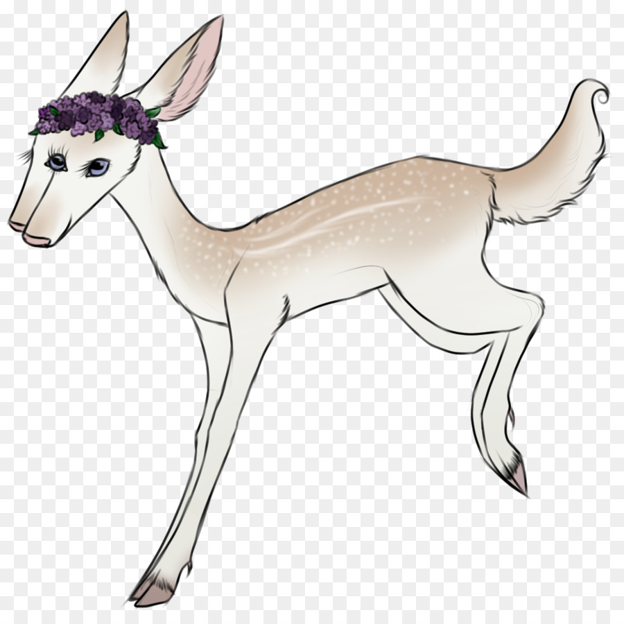 Con Chó Động Vật Có Vú Hươu Springbok Ngựa - Con chó