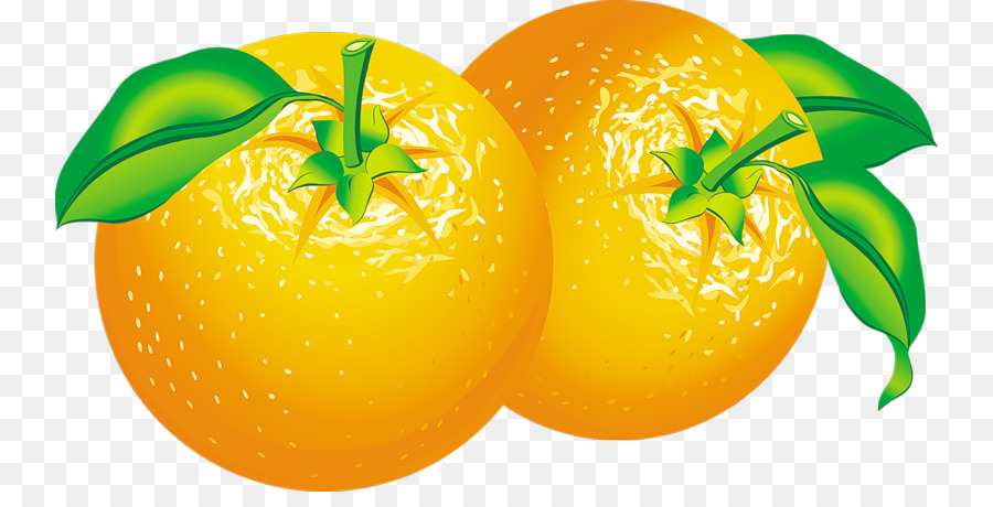 Succo d'arancia grafica Vettoriale a base di Arance Fresche di Frutta - arancione