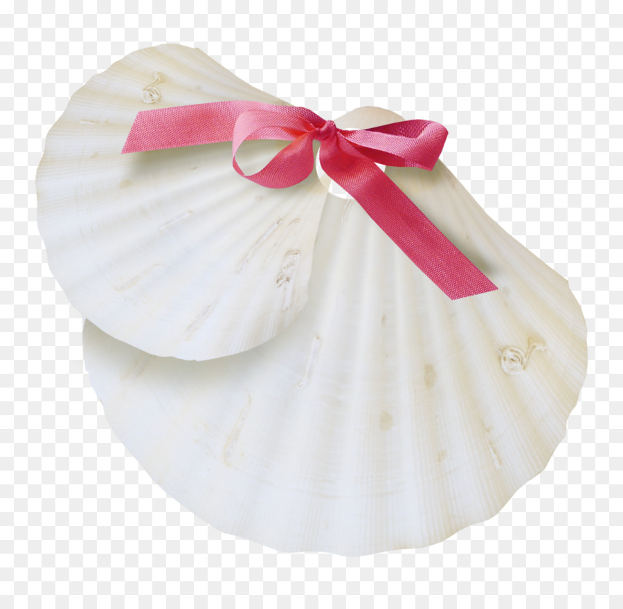 Muschel-Weiß-Bild Meeresschnecke Conch - Seashell