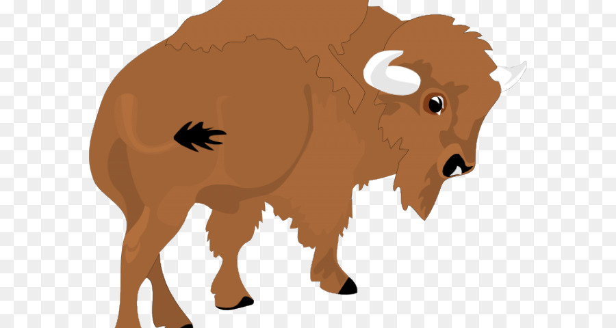 Amerikanischer bison Büffel-Clip-art Rinder-Freie Inhalte - dose